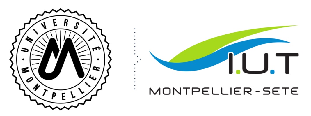 Logo-IUT